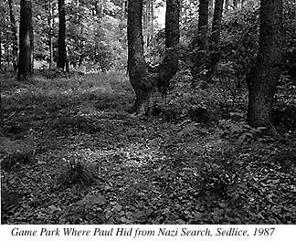 Photograph of View of Anna and Jerry's House from Woods Where Paul Hid from Nazi Search, Sedlice, 1987
